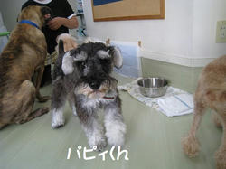 s-IMG_9668.jpg