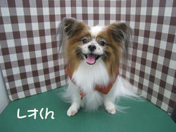 s-IMG_9694.jpg
