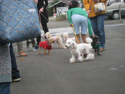 s-IMG_9827.jpg