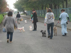 s-IMG_9846.jpg