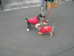 s-IMG_9832.jpg