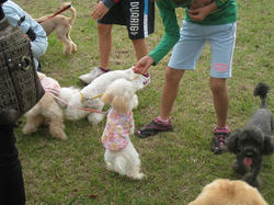 s-IMG_9867.jpg