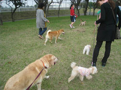 s-IMG_9876.jpg
