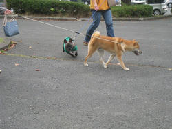 s-IMG_9880.jpg
