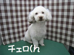 6a1259d3.jpeg