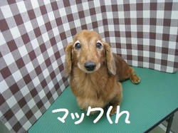 59820a93.jpeg
