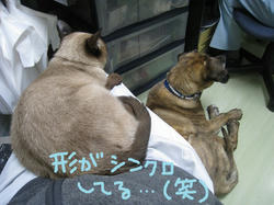 s-IMG_2580.jpg