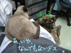 s-IMG_2579.jpg
