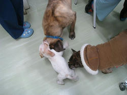 s-IMG_3230.jpg