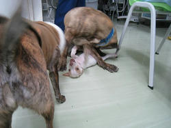 s-IMG_3241.jpg