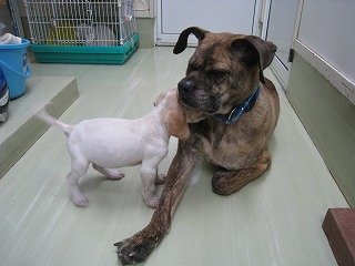 s-IMG_3356.jpg