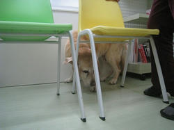 s-IMG_5406.jpg