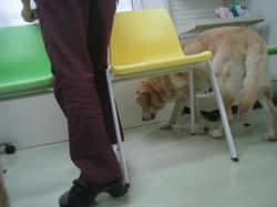 s-IMG_5403.jpg