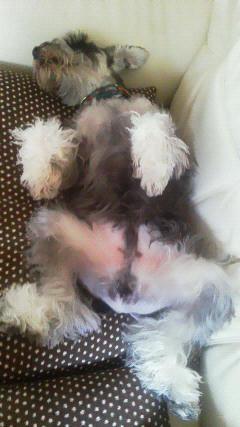 201208021353000.jpg