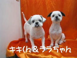 s-IMG_6947.jpg