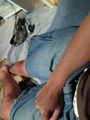 1501695960_131s.jpg