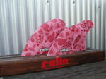 p77.jpg