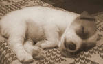 s-DSC00032.jpg