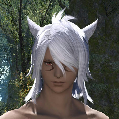 新生ff14 またしばらくやっかいになるよ エオルゼア へっぽこブログ