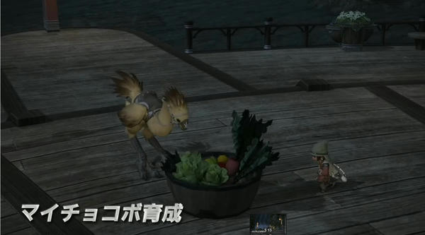 育成 マイ チョコボ