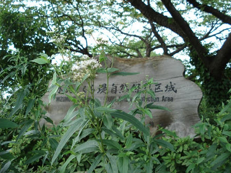 dc294696.jpg
