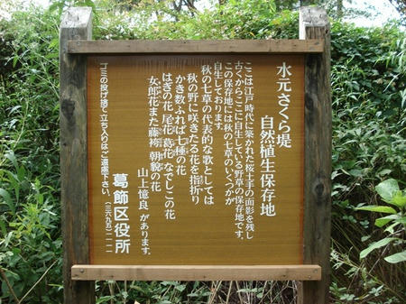 62481de8.jpg