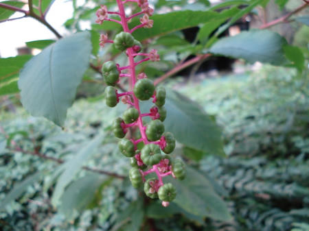 ceb8a260.jpg