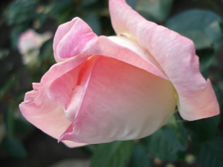 6e79662a.jpg