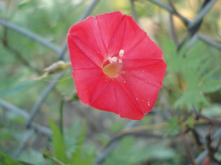 14b197a1.jpg