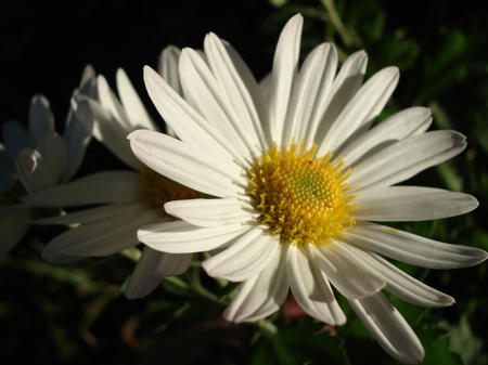 f027b5ca.jpg