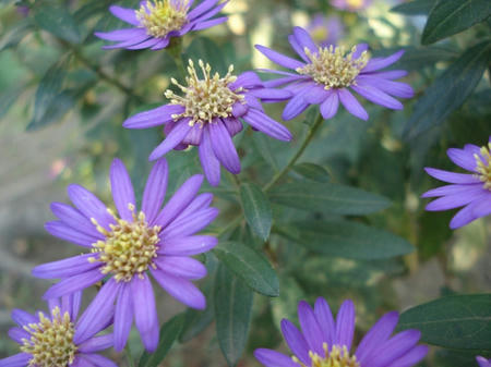 9228d94a.jpg
