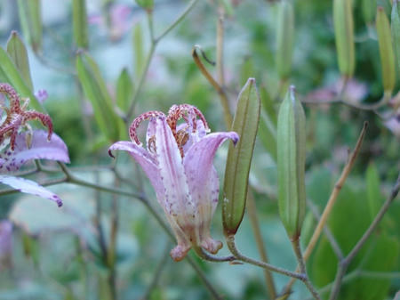 7939e698.jpg