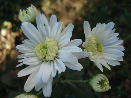 86d76fd4.jpg