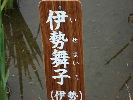 FI2624876_4E.jpg