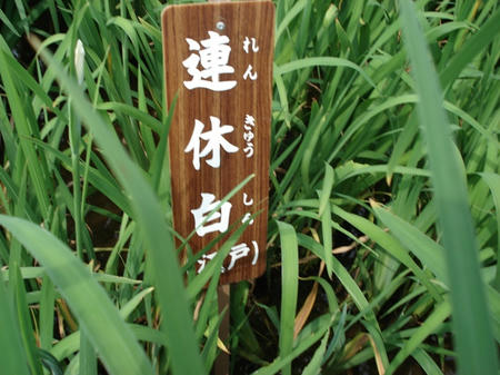 FI2624881_2E.jpg