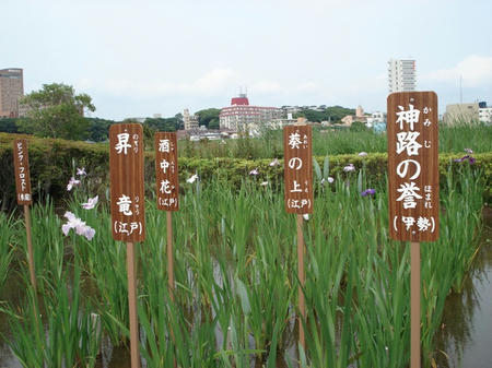 FI2624882_2E.jpg
