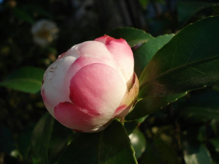 4d5f04bc.jpg