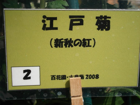 7342c470.jpg