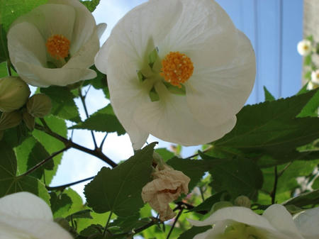 83530f96.jpg
