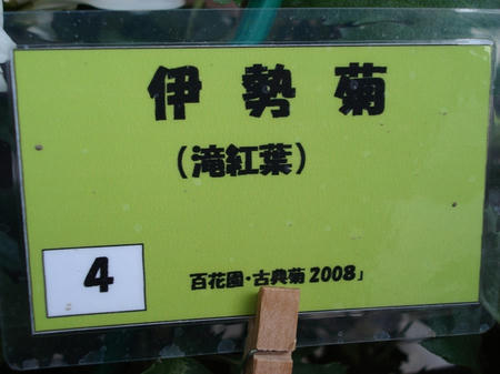 4565b5d5.jpg