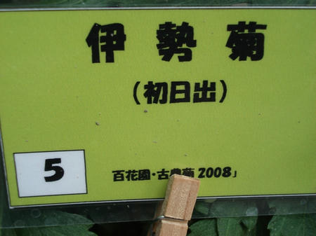 ce48e689.jpg