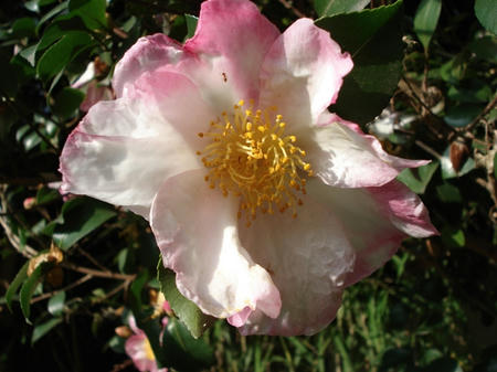 58b70921.jpg