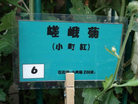 38920c32.jpg