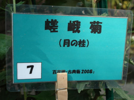efa7d91d.jpg