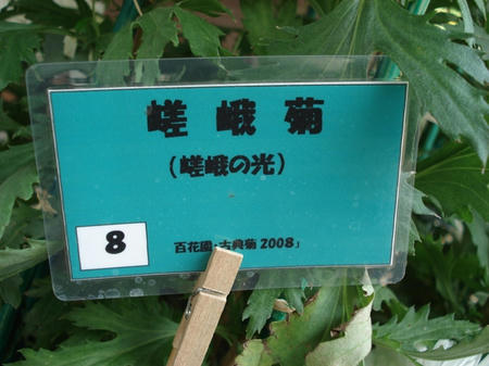 0b670c25.jpg