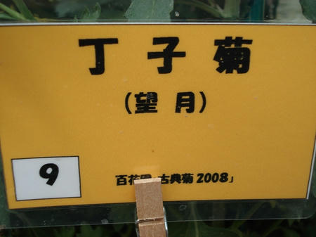 be3ca52b.jpg