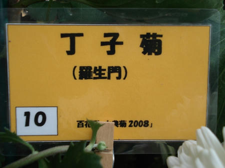 058a13b3.jpg
