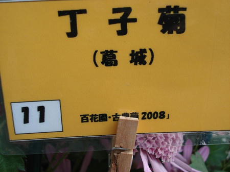 594820d1.jpg