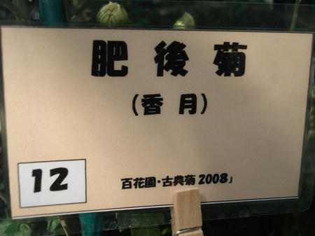 6210bf57.jpg