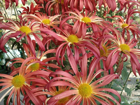 a6017c66.jpg